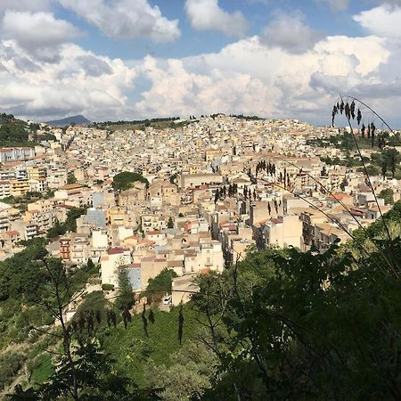 カラタフィーミLa Domus Di Segestaアパートメント エクステリア 写真