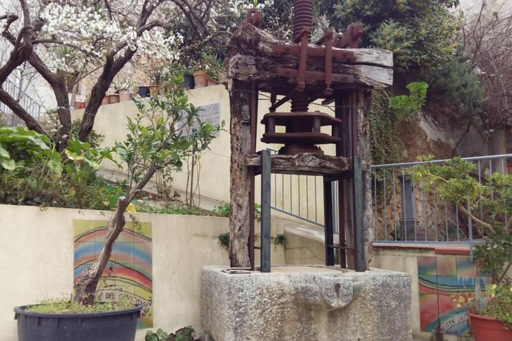 カラタフィーミLa Domus Di Segestaアパートメント エクステリア 写真