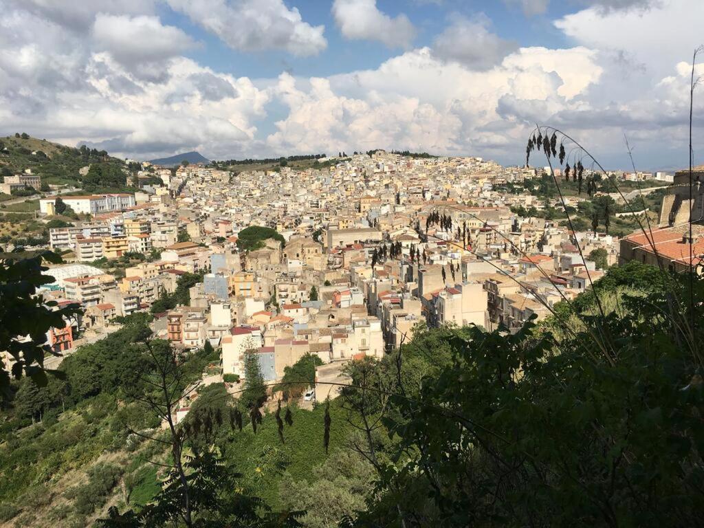 カラタフィーミLa Domus Di Segestaアパートメント エクステリア 写真